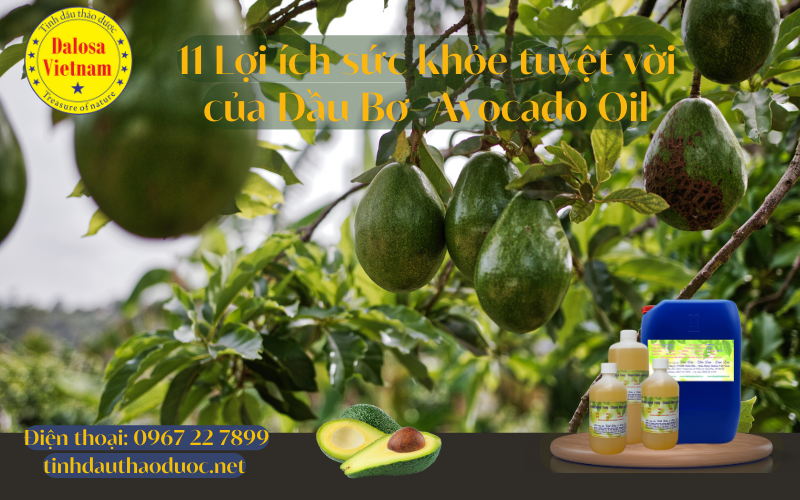 11-loi-ich-tuyet-voi-cua-dau-bo-avocado-oil1