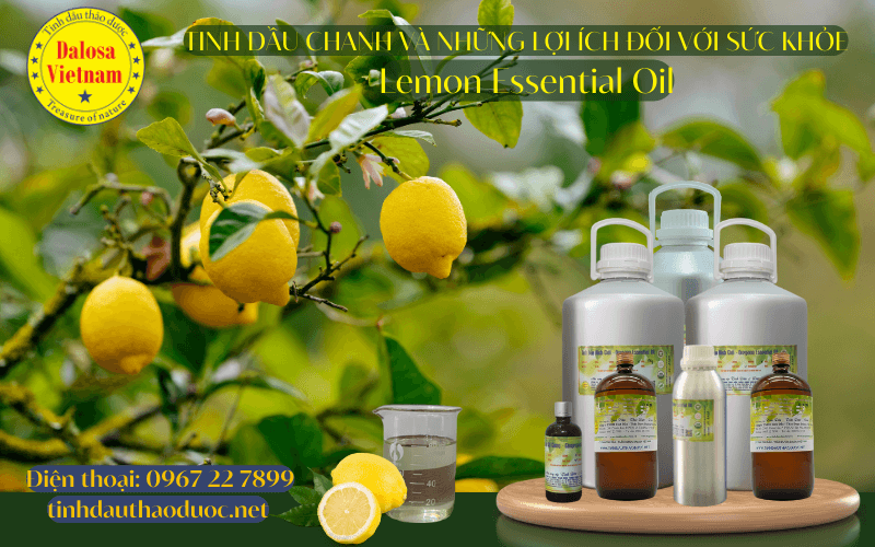 nhung-loi-ich-suc-khoe-cua-tinh-dau-chanh-lemon-essential-oil