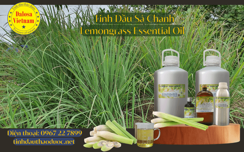 tinh-dau-sa-chanh-lemongrass-essential-oil-2024