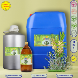 Tinh Dầu Tràm Gió - Cajeput Essential Oil 1 lít