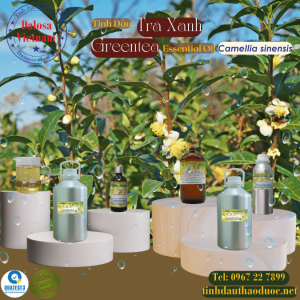 Tinh Dầu Trà Xanh - Green Tea Essential Oil 1 lít