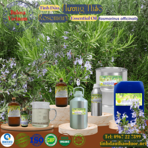 Tinh Dầu Hương Thảo - Rosemary Essential Oil 1 lít