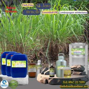 Tinh Dầu Sả Java - Citronella Essential Oil 1 lít