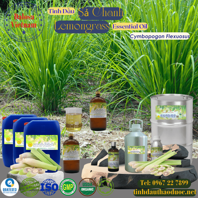 Tinh Dầu Sả Chanh - Lemongrass Essential Oil 1 lít