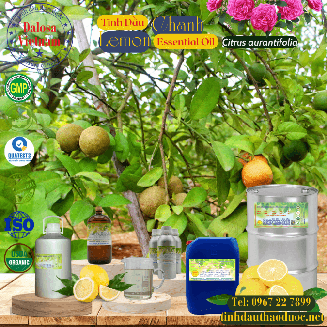 Tinh Dầu Chanh Tươi - Lemon Essential Oil 1 lít
