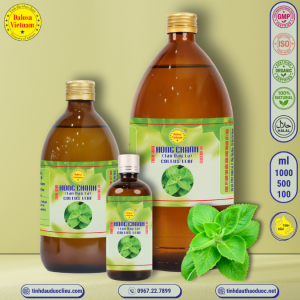 Tinh Dầu Húng Chanh - Tần Dày Lá  - Coleus Leaf Essential Oil 1 lít