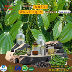 Tinh Dầu Hạt Tiêu Đen - Black Pepper Essential Oil 1 lít