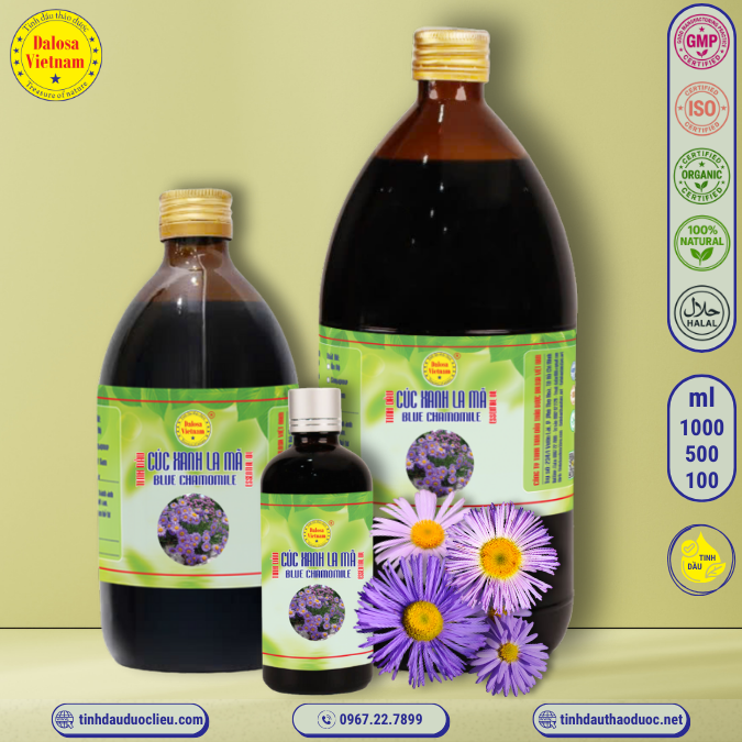 Tinh Dầu Hoa Cúc Xanh - Blue Chamomile Essential Oil 1 lít