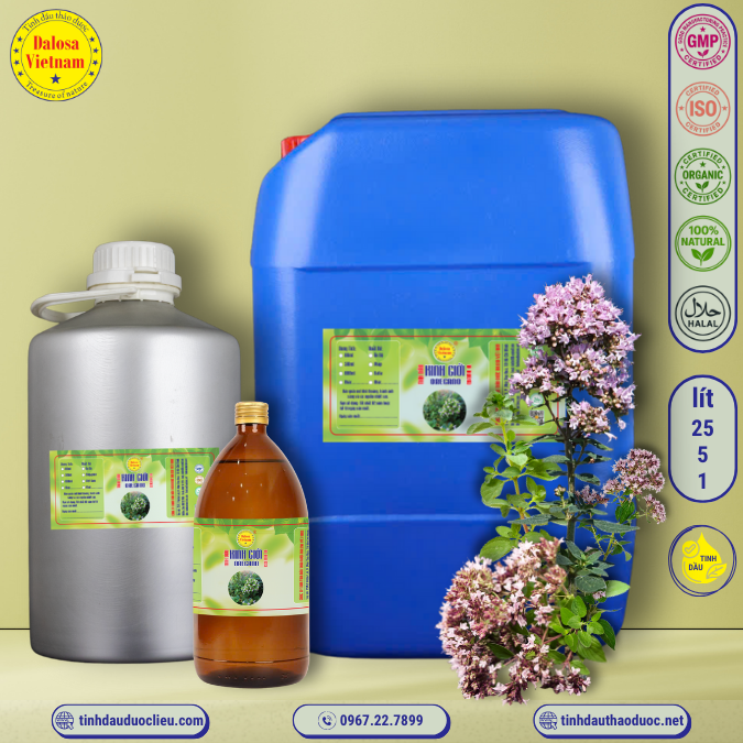 Tinh Dầu Kinh Giới  - Oregano Essential Oil 1 lít