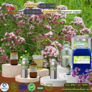 Tinh Dầu Kinh Giới  - Oregano Essential Oil 1 lít