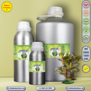 Tinh Dầu Nguyệt Quế - Bay leaf Essential Oil 1 lít