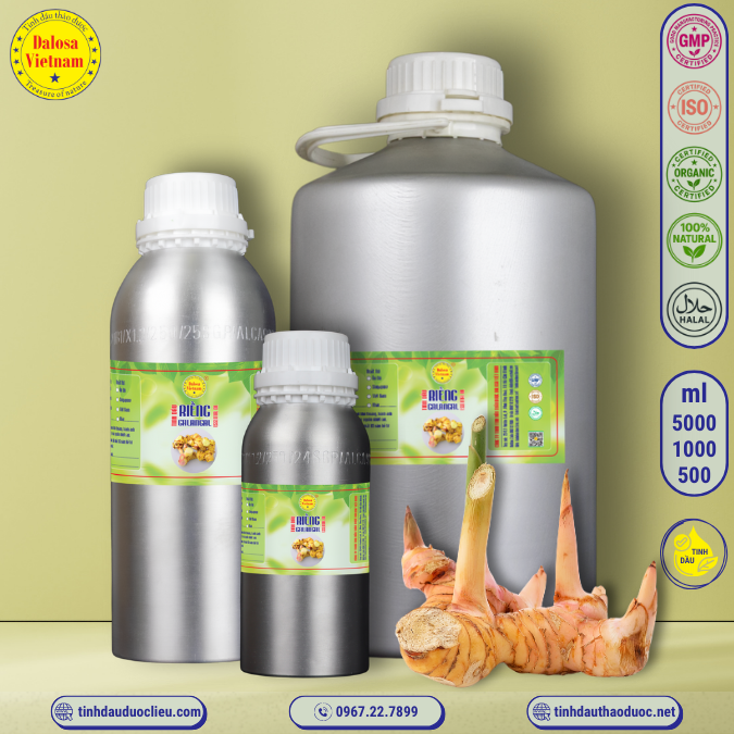 Tinh Dầu Củ Riềng - Galangal Essential Oil 1 lít