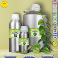 tinh-dau-la-trau-khong-piper-betle-leaf-essential-oil-1-lit - ảnh nhỏ 2