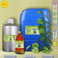 tinh-dau-la-trau-khong-piper-betle-leaf-essential-oil-1-lit - ảnh nhỏ 3