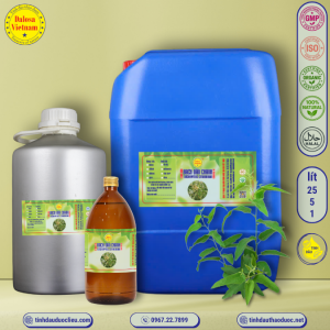 Tinh Dầu Bạch Đàn Chanh - Eucalyptus Citriodora Essential Oil 1 lít