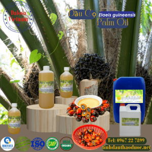 Dầu Cọ - Palm Oil 1 lít