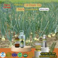 tinh-dau-cu-hanh-tay-onion-essential-oil-1-lit - ảnh nhỏ  1