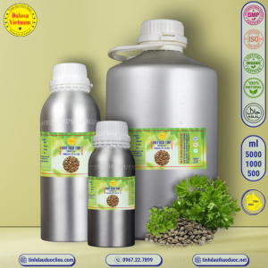 Tinh Dầu Hạt Ngò Tây- Mùi Tây - Parsley Essential Oil 1 lít