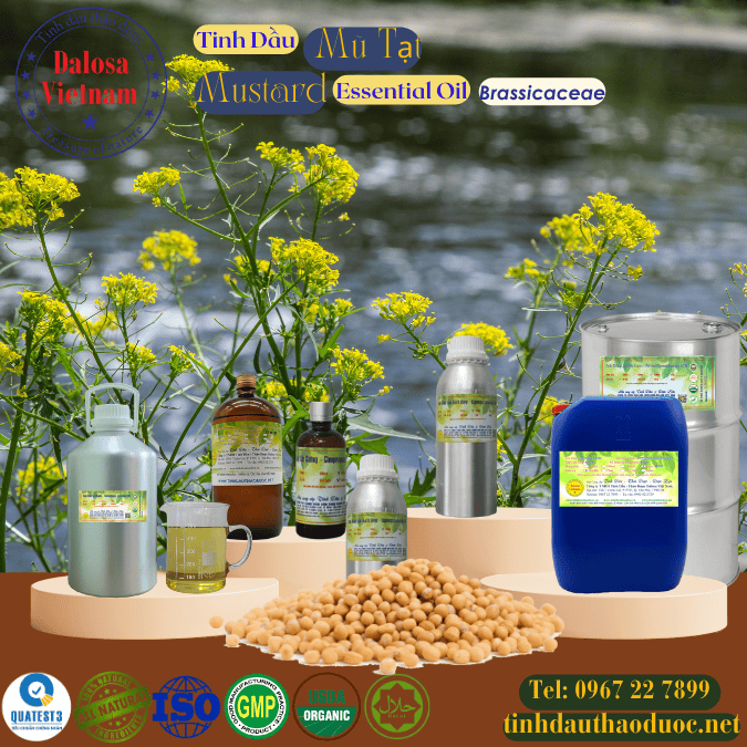Tinh Dầu Mù Tạt - Mustard Essential Oil 1 lít