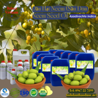 dau-hat-neem-sau-dau-1-lit - ảnh nhỏ  1