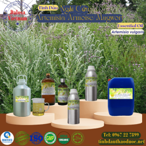 Tinh Dầu Ngải Cứu - Thuốc Cứu  - Armoise Essential Oil 1 lít