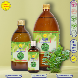 Tinh Dầu Lá Ngò - Rau Mùi - Cilantro Essential Oil 1 lít