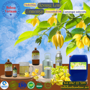 Tinh Dầu Hoàng Lan - Cananga Essential Oil 1 lít