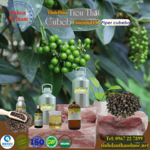 Tinh Dầu Tiêu Thất - Cubeb Essential Oil 1 lít