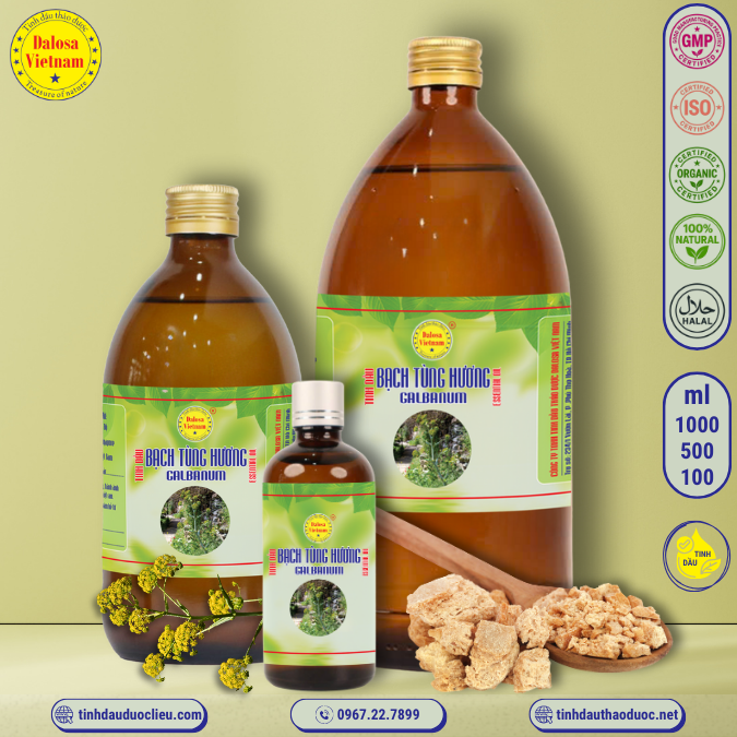 Tinh Dầu Bạch Tùng Hương - Galbanum Essential Oil 1 lít