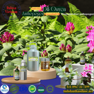 Tinh Dầu Đỗ Quyên - Rhododendron Anthopogon Essential Oil 1 lít