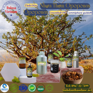 Tinh Dầu Nhựa Thơm - Opoponax Essential Oil 1 lít