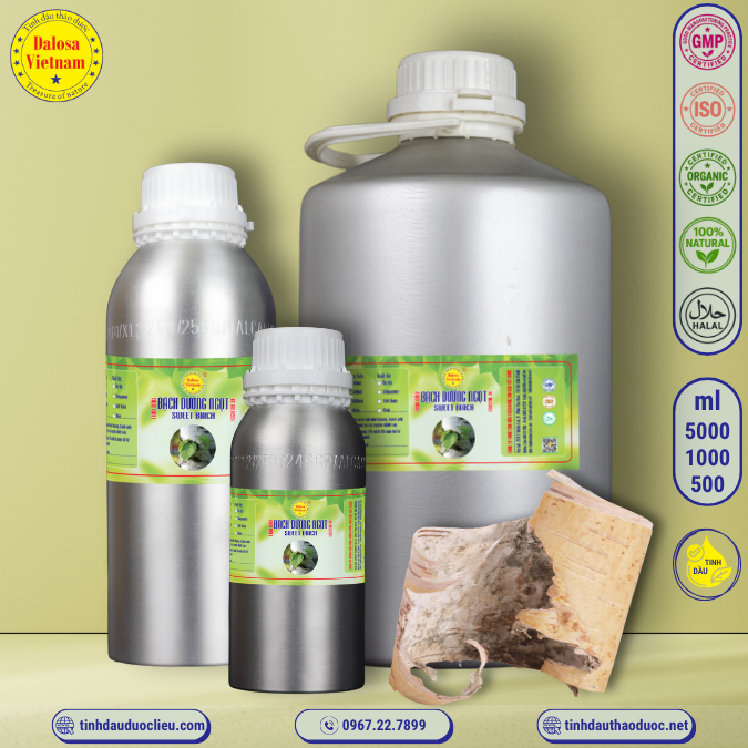 Tinh Dầu Bạch Dương Ngọt - Sweet Birch Essential Oil 1 lít