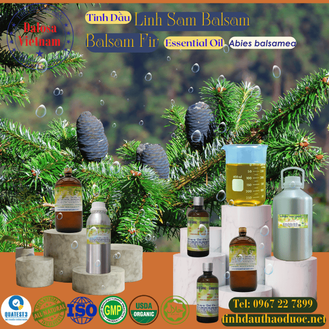Tinh Dầu Lãnh Sam - Nhựa Thơm - Fir Balsam Essential Oil 1 lít