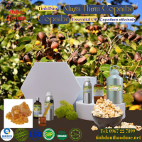 tinh-dau-nhua-thom-copaiba-essential-oil-1-lit - ảnh nhỏ  1