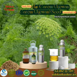 Tinh Dầu Hạt Carom - Ajowan Essential Oil 1 Lít
