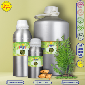 Tinh Dầu Nhai Bách - Thuja Essential Oil 1 Lít