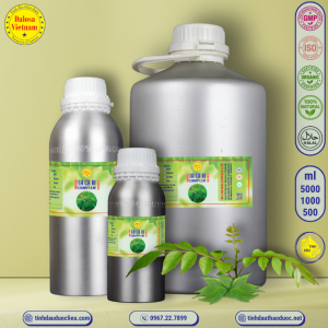 Tinh Dầu Lá Cà Ri - Curry Leaf Essential Oil 1 Lít