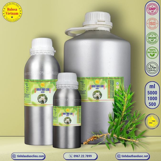 Tinh Dầu Tràm Năm Gân - Niaouli Essential Oil 1 Lít