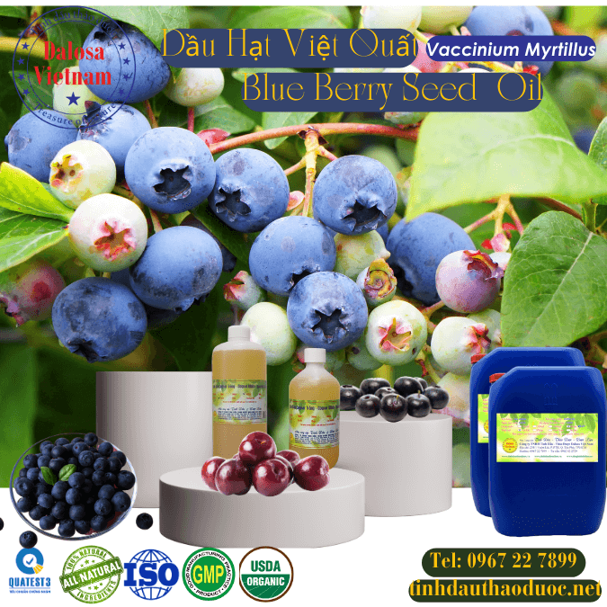 Dầu Việt Quất - Blue Berry Oil 1 Lít