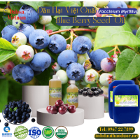 dau-viet-quat-blue-berry-oil-1-lit - ảnh nhỏ  1