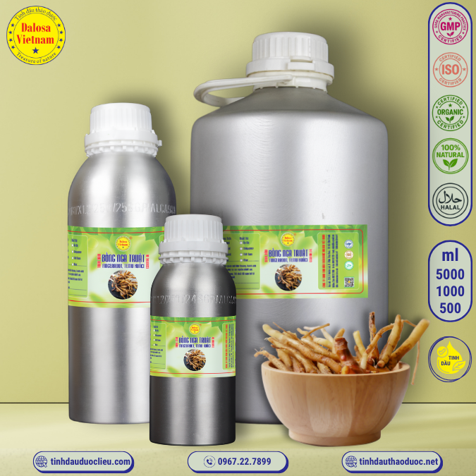 Tinh Dầu Bồng Nga Truật - Finger Root Essential Oil1 Lít