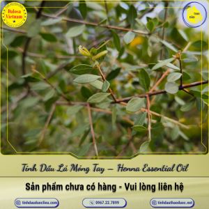 Tinh Dầu Lá Móng Tay - Henna Essential Oil 1 Lít