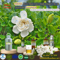 tinh-dau-hoa-nhai-tay-danh-danh-chi-tu-gardenia-essential-oil-1-lit - ảnh nhỏ  1