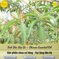 tinh-dau-dai-bi-blumea-essential-oil-1-lit - ảnh nhỏ  1