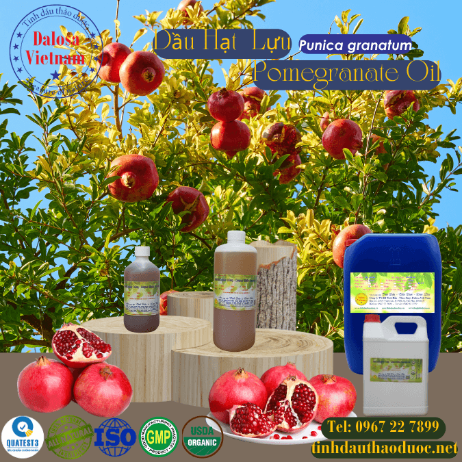 Dầu Hạt Lựu - Pomegranate 1 lít