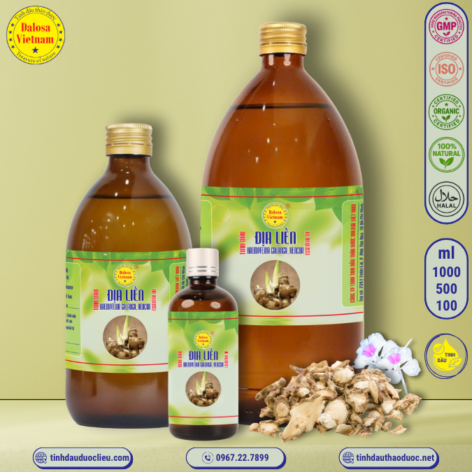 Tinh Dầu Địa Liền - Kaempferia Galanga ( Kencur) Essential Oil 1 Lít