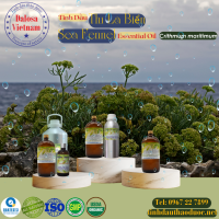 tinh-dau-thi-la-bien-sea-fennel-essential-oil-1-lit - ảnh nhỏ  1