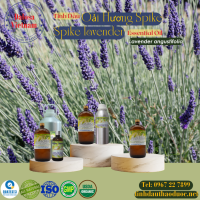 tinh-dau-oai-huong-spike-spike-lavender-essential-oil-1-lit - ảnh nhỏ  1