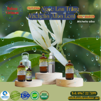tinh-dau-ngoc-lan-trang-michelia-alba-leaf-essential-oil-1-lit - ảnh nhỏ  1