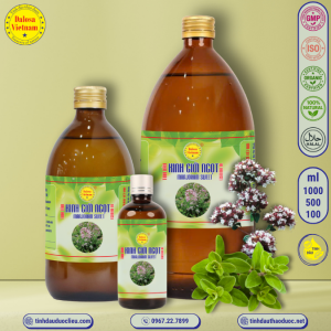 Tinh Dầu Kinh Giới Ngọt - Marjoram Sweet Essential Oil 1 Lít